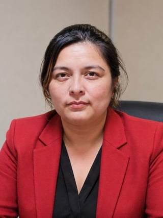 Arliz N. Quesñay, Pagos y Finanzas